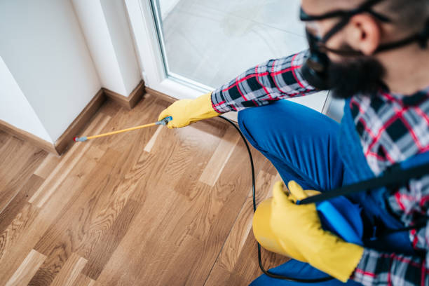 Best Real Estate Pest Inspections  in USA